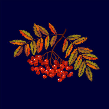 Rowan branch with red berries and autumn leaves embroidery design. Folk needlework stitch style. Fashion clothing patches stickers print. Dark blue background hand-stitched vector art.