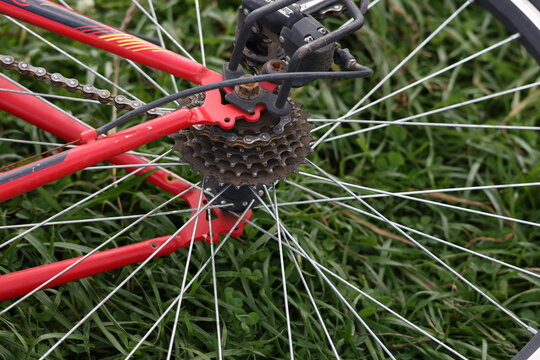Rear bicycle gear derailleur mounted directly on the rear wheel