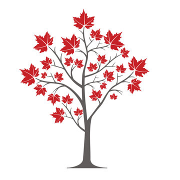 maple tree logo, simple flat design vector.