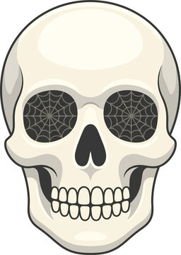 Stylized human skull head illustration with intricate spider webs inside eye sockets, spooky anatomical bone design element isolated on transparent background, perfect for Halloween and gothic themes