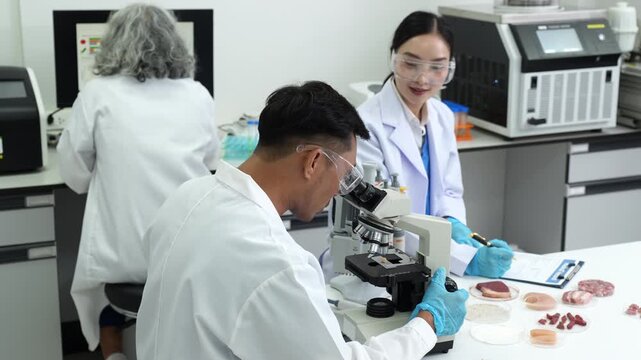 Microbiologists and nutrition experts analyze molecular samples in advanced food science labs.