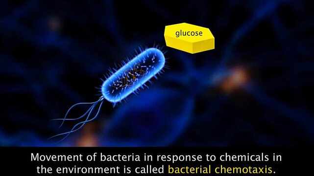 Scientific illustration of bacterial chemotaxis showing movement toward attractants and away from repellents.