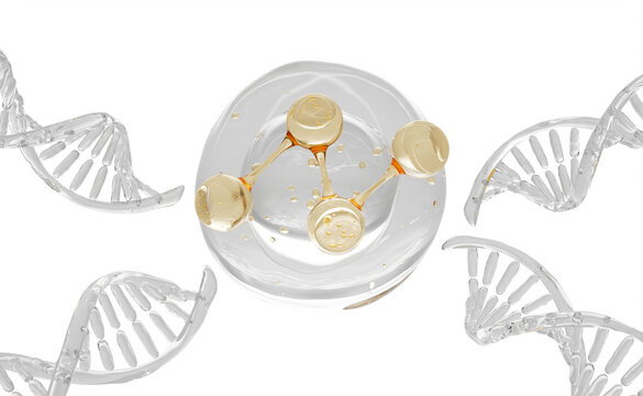 Bio argan oil drop with gold molecule and transparent DNA helix strand structures on light 3d background. Genetic cosmetic lab, collagen peptide serum bubble, beauty skincare science