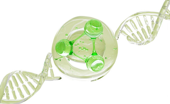 Eco cosmetics 3d background with green molecule bubble and transparent DNA. PDRN peptide serum drop, pure natural aloe gel, herbal skin care cream, organic olive oil, liquid medicine