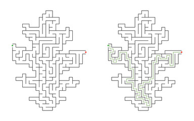 Obraz premium Solved oak leaf shaped maze puzzle with green solution path