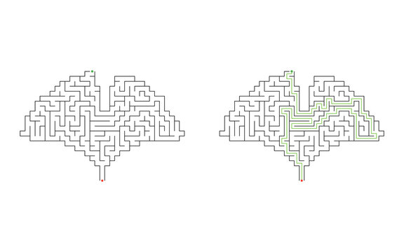 Ginkgo biloba leaf shaped maze puzzle with start and finish points