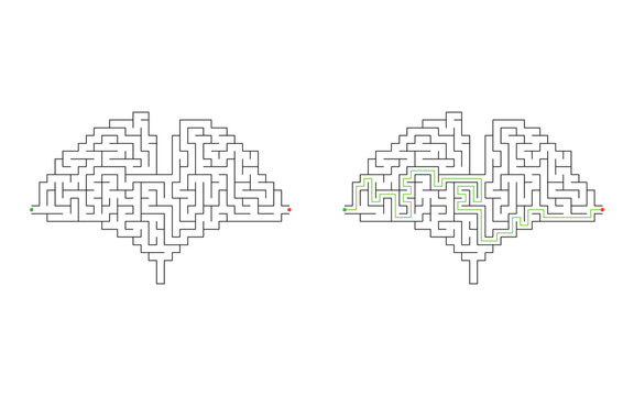 Ginkgo biloba leaf shaped maze puzzle with start and finish points