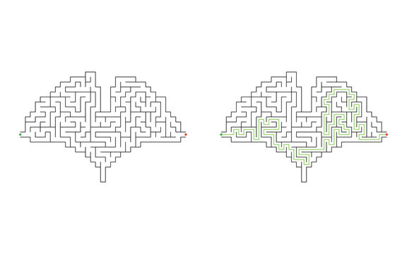Solved Ginkgo biloba leaf shaped maze puzzle with green solution path