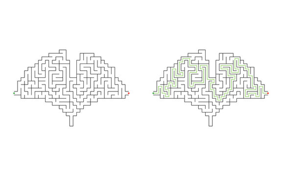 Solved Ginkgo biloba leaf shaped maze puzzle with green solution path