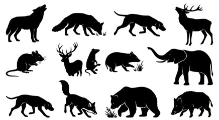 Obraz premium Assorted wild animal silhouettes including wolf fox deer elephant bear and wild boar isolated on white background for nature-themed graphic design and wildlife conservation educational projects