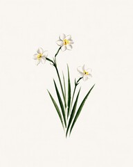 Fototapeta premium White Narcissus Flowers in Refined East Asian Ink and Watercolor Painting