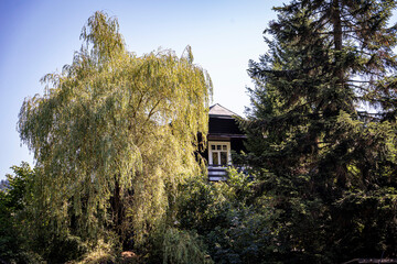 Basen turkusowy kolor, wakacji czad, relax, miłość, wypoczynek © Maciej G. Szling