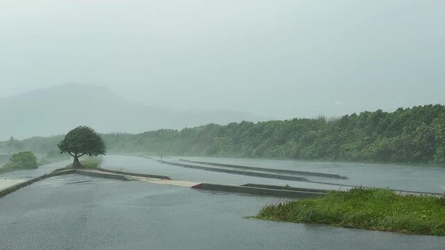 Strong Wind And Heavy Rain Drench Coastal Road As Tropical Storm Hits
