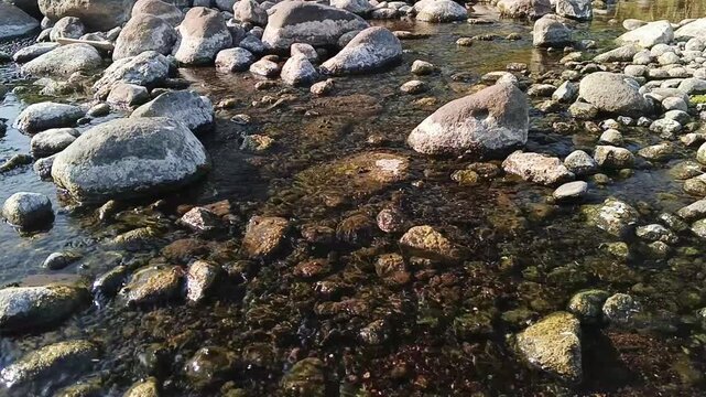 Shallow river stream trickling through rocky terrain during dry season. Ideal for climate change, drought awareness, environmental ecology documentaries, and natural background scenes