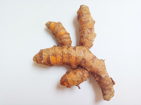 Full top view of whole fresh raw turmeric rhizome