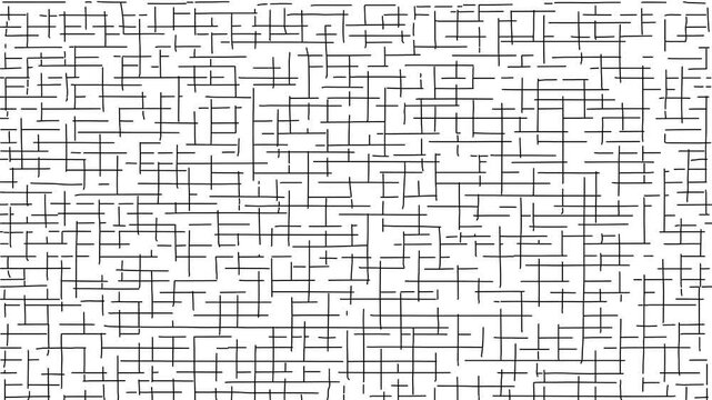 Dynamic pattern with synchronized line animation