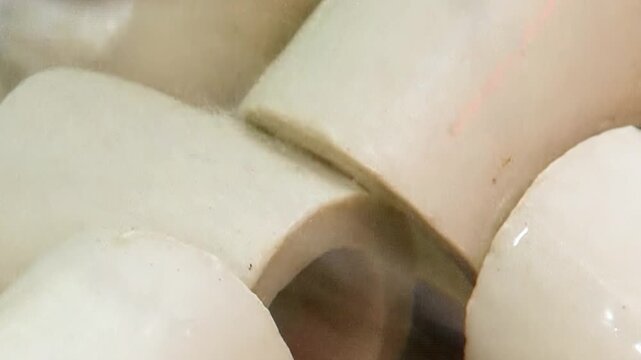 The scene shows ring shaped filter media in industrial filtration equipment. The view also shows how many pale cylindrical and ring shaped packing elements are visible in close view.
