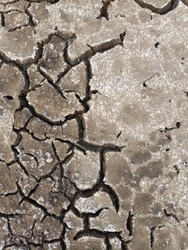 Close Up Fissures in Dry Mud Soil Layer