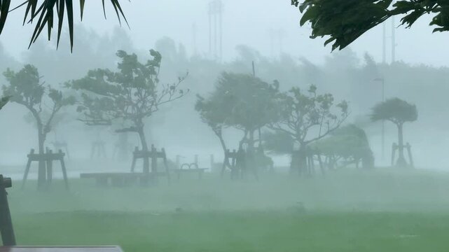 Extreme Hurricane Winds Drive Sheets Of Rain Across Tropical Island