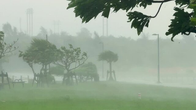 Hurricane Makes Landfall With Ferocious Winds And Torrential Rain