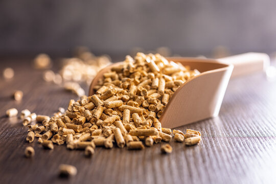 Wood Pellets Fuel Biomass in Scoops on Wooden Table for Heating and Energy Use