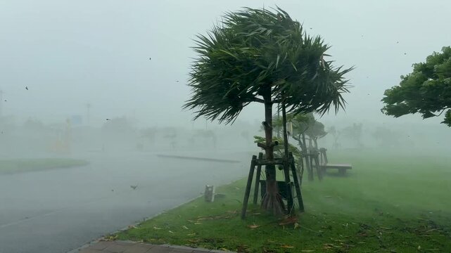 Extreme Wind And Heavy Rain Hit Island As Hurricane Moves Ashore