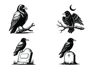 Fototapeta premium Raven and Crow Vector Illustrations Set. Black and White Gothic Birds Perched on Branches and Gravestones for Halloween Designs.