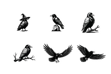 Obraz premium Raven and Crow Vector Illustrations Set with Witch Hat, Gravestone, Perching and Flying Poses. Black and White Halloween Themed Graphic Elements.