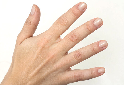 Close up view of human hand showing natural skin texture and nails
