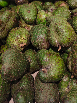 Pile of fresh, raw soursop fruits with prickly green skin. Close-up of exotic tropical produce, highlighting organic textures and healthy nutrition concepts.