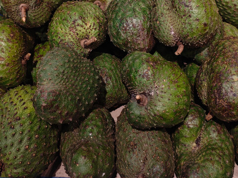 Close-up of fresh green soursop fruits piled together. Exotic tropical produce with prickly skin, ideal for healthy eating and natural food concepts.