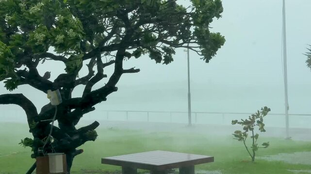 Hurricane Force Winds And Blinding Rain Batter Tropical Landscape