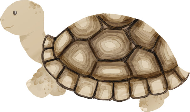 Cute hand-drawn tortoise illustration with a detailed brown shell, soft beige body, and charming cartoon style, isolated on a white background. Suitable for children's books, educational materials, nu