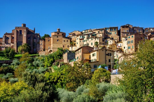 View of the historic medieval architecture and brick buildings of Siena nestled among lush green trees and olive groves in Siena, Tuscany, Italy.
