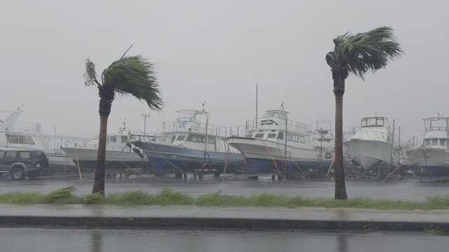Strong Wind Blow Through Fishing Harbor As Tropical Storm Hits