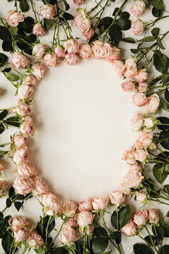 Pink Roses Oval Frame on White Background. Elegant Flowers