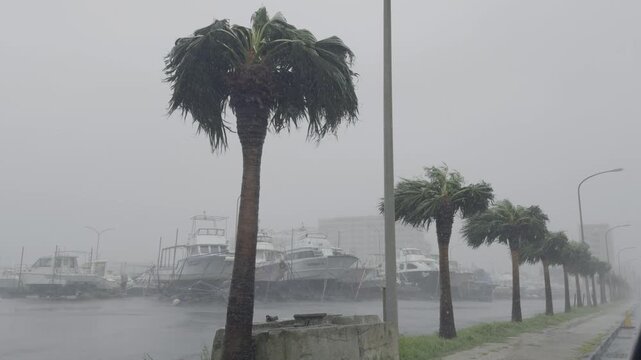 Powerful Tropical Storm Winds And Heavy Rain Lash Fishing Harbor
