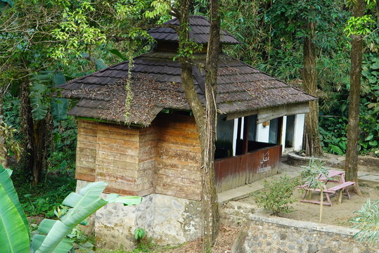 Wooden hut rests quietly in thick green forest. Roof tiles blend with moss and leaves. Tree trunks frame the rustic structure. Natural light filters through dense canopy.