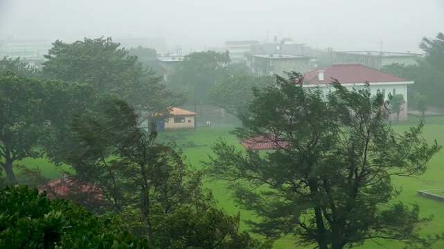 Strong Wind Blows Trees As Hurricane Nears Island