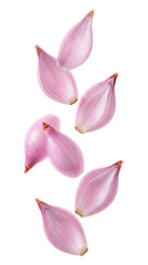 Obraz premium Falling shallots isolated on transparent background