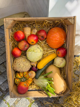 Still Life of Vegetables in Wooden Crate at Autumn Market