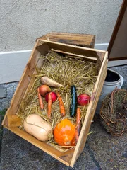 Still Life of Vegetables in Wooden Crate at Autumn Market © Animaflora PicsStock
