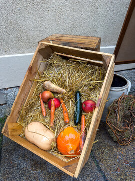 Still Life of Vegetables in Wooden Crate at Autumn Market