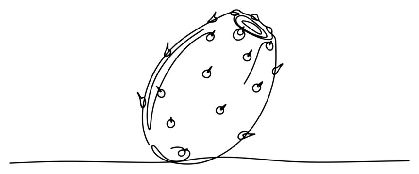 Prickly pear fruit or cactus pad in minimalist continuous line art style