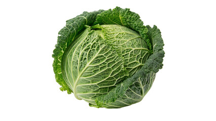 Fototapeta premium Whole fresh organic green savoy head cabbage vegetable isolated on transparent background.