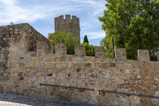 View of Castelo de Santiago do Cacem with its ancient stone walls and defensive tower rising above the surrounding trees under a clear blue sky in Santiago do Cacem, Setubal, Portugal.