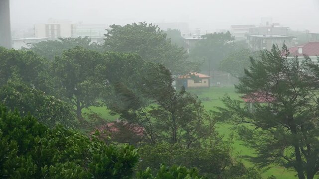 Hurricane Outer Bands Bring Strong Winds To Tropical Island Community