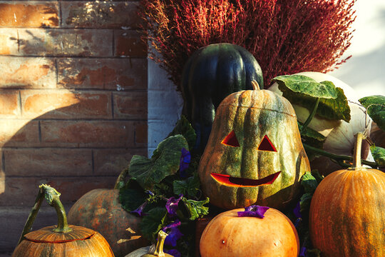 Rustic Homemade Halloween Decoration with Carved Pumpkins and Peppers, red and green chili peppers, dried flowers, and autumn foliage.