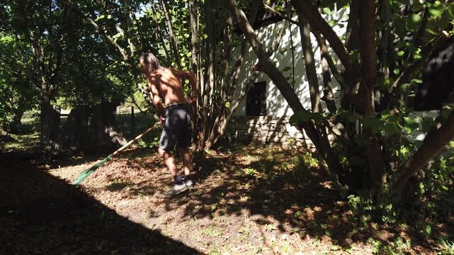 Shirtless male gardener clearing the backyard lawn with a plastic rake 