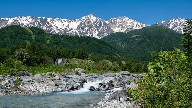 残雪の北アルプスと清流　長野県白馬村